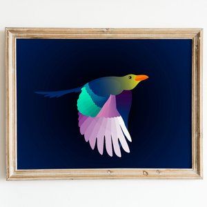 Colourful Bird